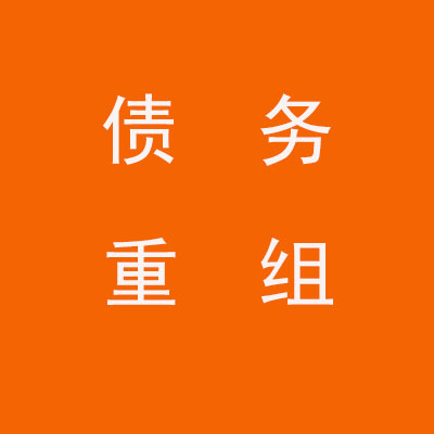 高明个人债务重组优化